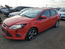 Salvage cars for sale at Elgin, IL auction: 2014 Ford Focus SE