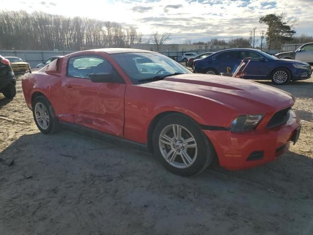 2010 Ford Mustang