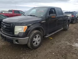 Salvage cars for sale at Magna, UT auction: 2010 Ford F150 Supercrew