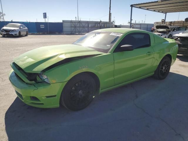 2014 Ford Mustang