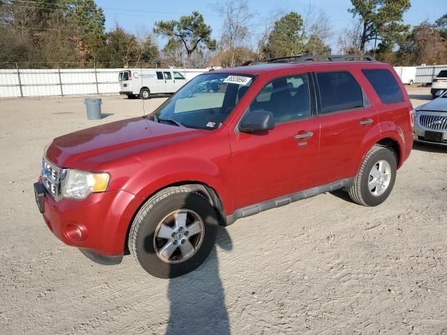 2011 Ford Escape XLT