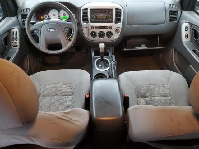 2005 Ford Escape XLT