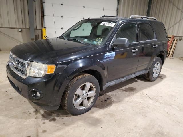 2010 Ford Escape XLT