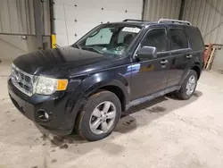 2010 Ford Escape XLT en venta en West Mifflin, PA