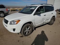 Salvage cars for sale at Albuquerque, NM auction: 2011 Toyota Rav4