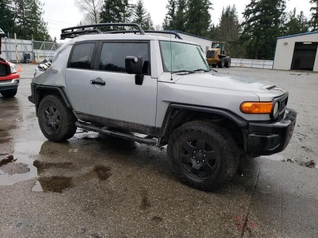 2007 Toyota FJ Cruiser