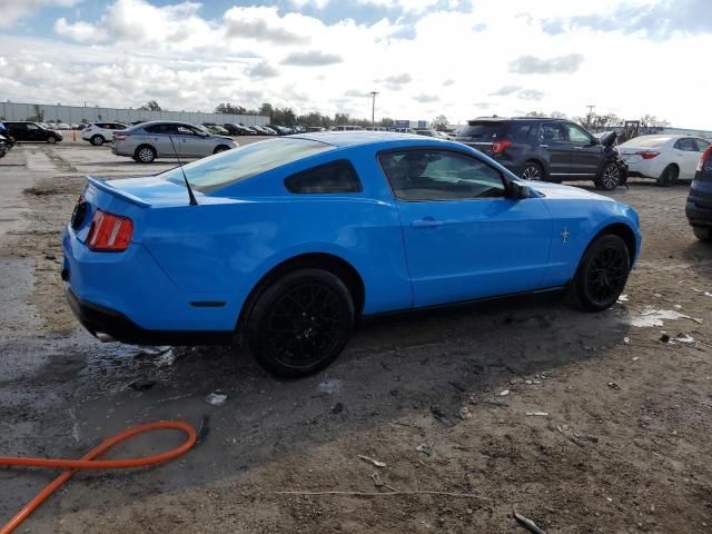 2010 Ford Mustang