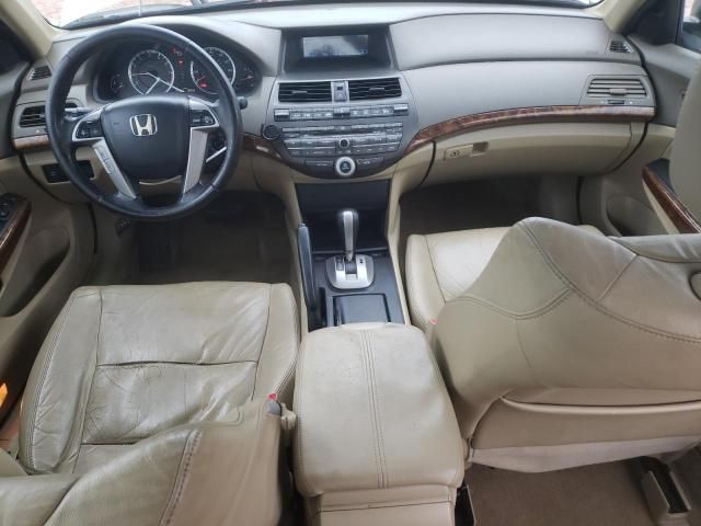 2010 Honda Accord EXL