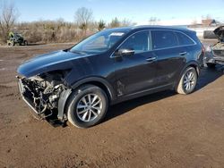 Salvage cars for sale at Columbia Station, OH auction: 2016 KIA Sorento LX