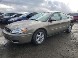 Ford salvage cars for sale: 2004 Ford Taurus SES