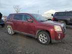 2010 GMC Terrain SLE