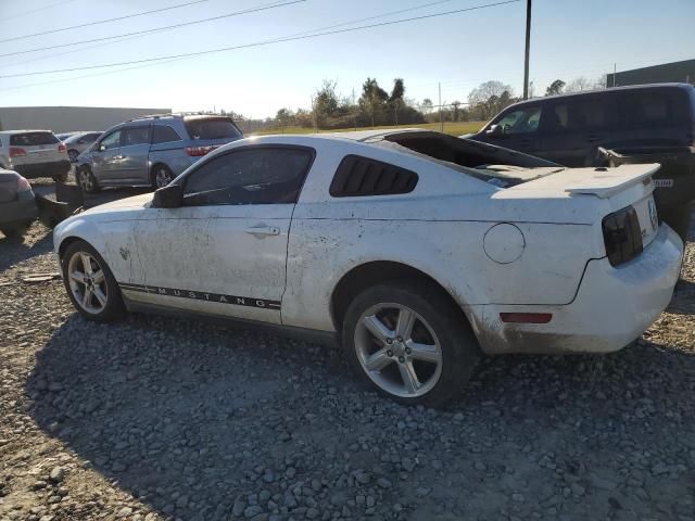 2009 Ford Mustang