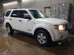 2008 Ford Escape XLT