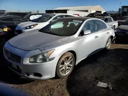 Salvage cars for sale at Brighton, CO auction: 2009 Nissan Maxima S