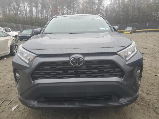 2019 Toyota Rav4 XLE