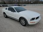 2005 Ford Mustang