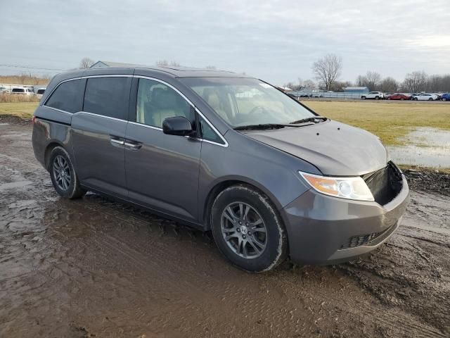 2013 Honda Odyssey EXL