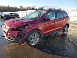 Salvage cars for sale at Windham, ME auction: 2014 Ford Escape SE