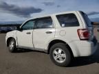 2010 Ford Escape XLS