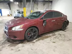 2013 Nissan Maxima S en venta en Chalfont, PA