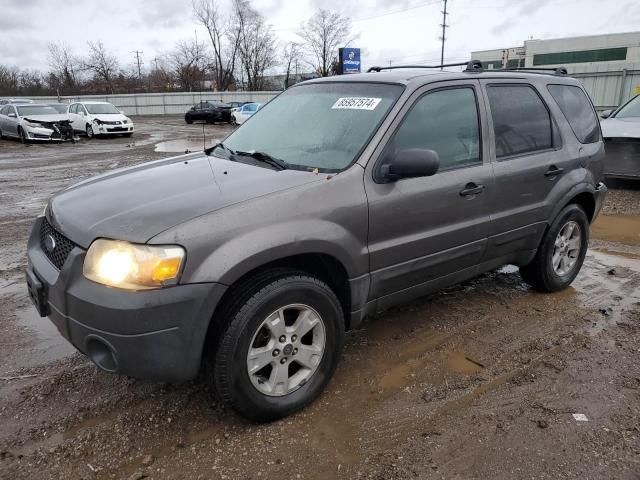 2005 Ford Escape XLT