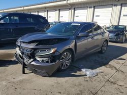 Salvage cars for sale at Louisville, KY auction: 2019 Honda Insight Touring