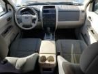 2010 Ford Escape XLS