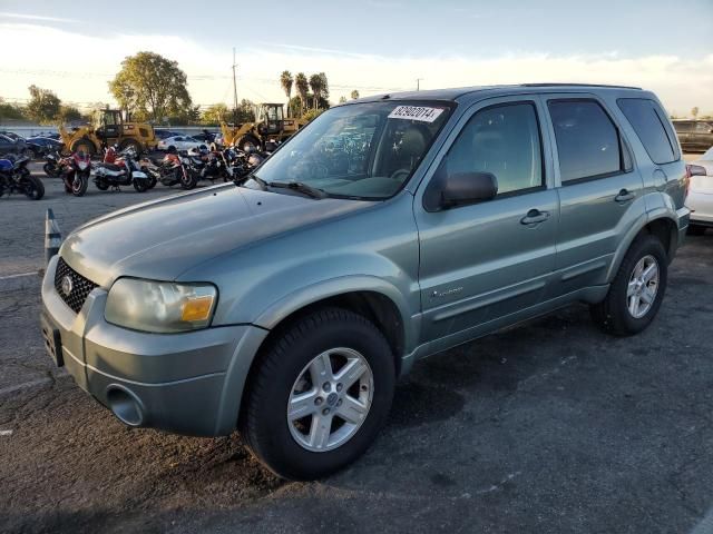 2006 Ford Escape HEV