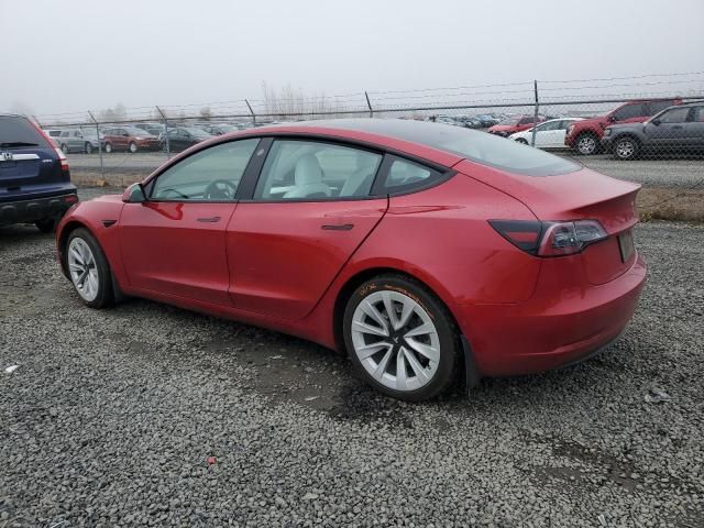 2021 Tesla Model 3