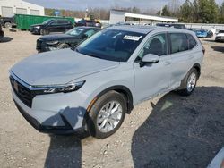 Salvage cars for sale at Memphis, TN auction: 2024 Honda CR-V EXL