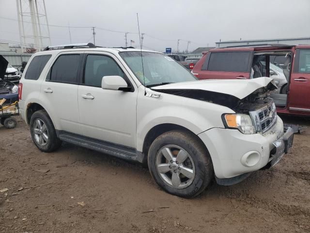 2011 Ford Escape Limited