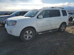 Honda salvage cars for sale: 2009 Honda Pilot EXL