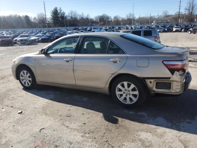 2009 Toyota Camry Hybrid