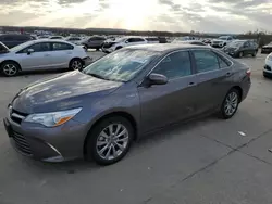 Salvage cars for sale at Grand Prairie, TX auction: 2015 Toyota Camry Hybrid