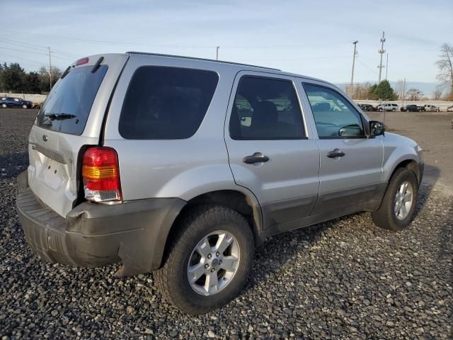 2007 Ford Escape XLT