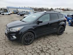 Ford Escape se salvage cars for sale: 2019 Ford Escape SE