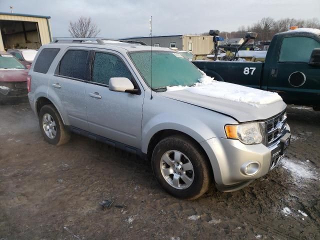 2012 Ford Escape Limited