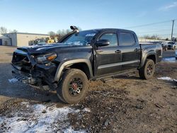 Toyota salvage cars for sale: 2019 Toyota Tacoma Double Cab