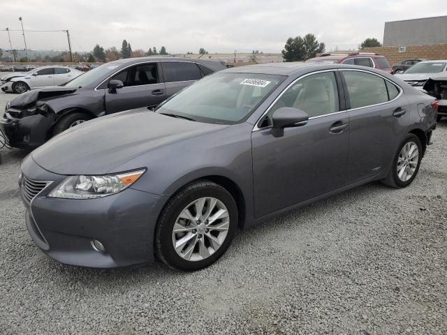 2014 Lexus ES 300H