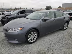 2014 Lexus ES 300H en venta en Mentone, CA