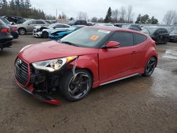 Hyundai salvage cars for sale: 2014 Hyundai Veloster Turbo