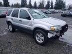 2006 Ford Escape HEV