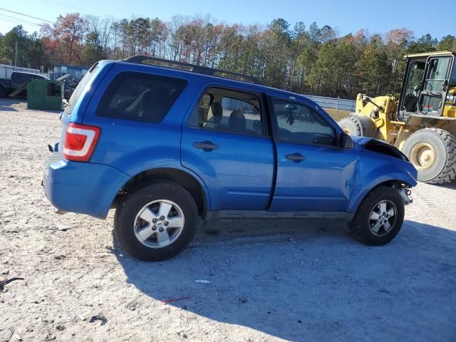 2011 Ford Escape XLT