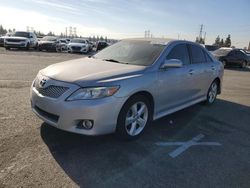 Vehiculos salvage en venta de Copart Rancho Cucamonga, CA: 2010 Toyota Camry Base