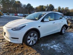 Salvage cars for sale at Mendon, MA auction: 2023 Tesla Model Y