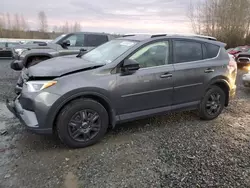 Salvage cars for sale at Arlington, WA auction: 2016 Toyota Rav4 LE