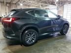 2023 Lexus NX 350