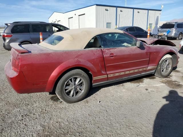 2005 Ford Mustang