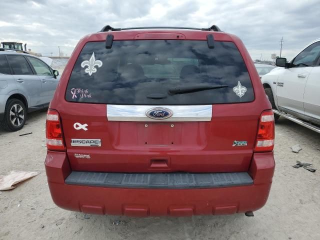 2011 Ford Escape Limited