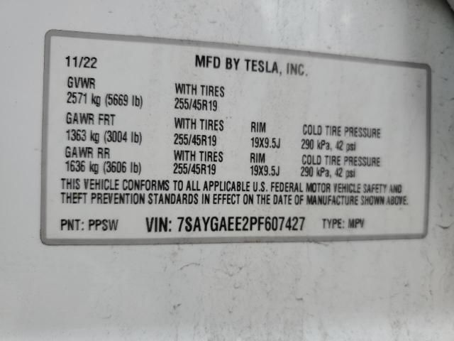 2023 Tesla Model Y